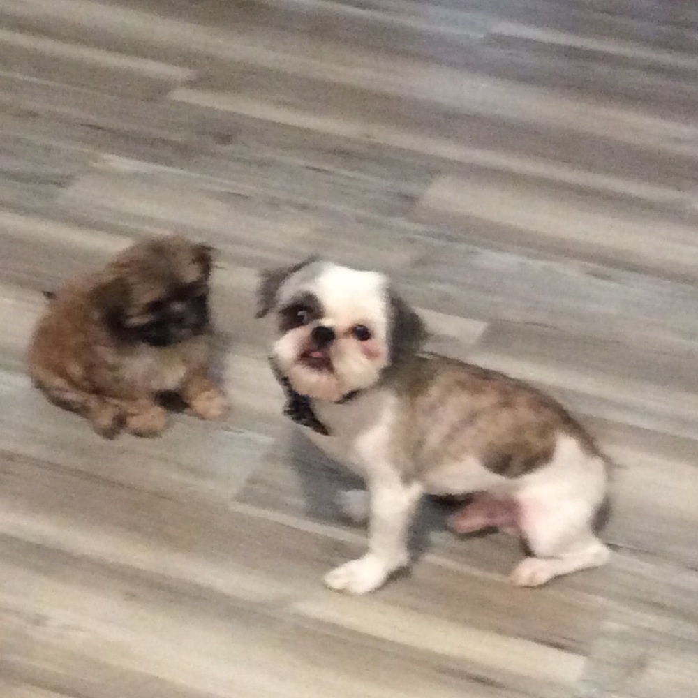 Close out sale prices have been mark down 50%